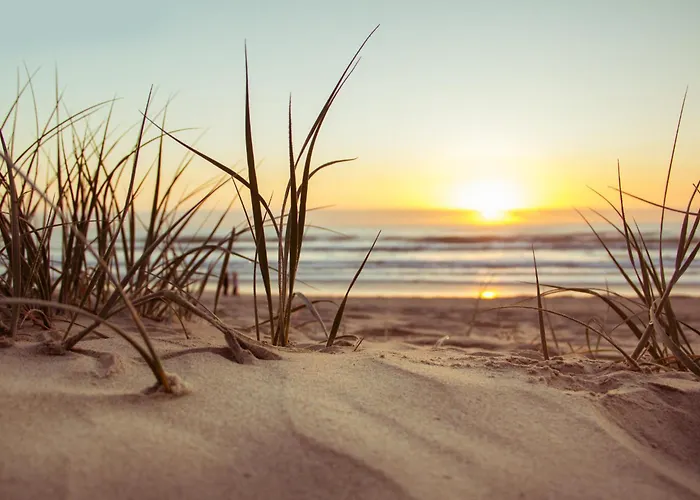 Le Grain De Sel * Saint-Hilaire-de-Riez